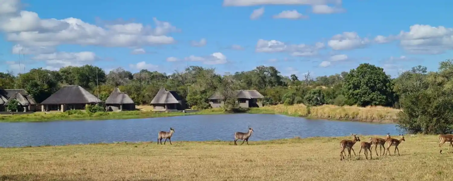 The Kruger Experience-1